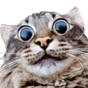 :hoi: Discord Emote