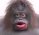 uhohstinky