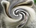 G_gyggggg G_gyggggg