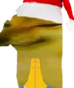 latiredoge latiredoge