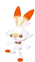 scorbunny