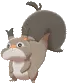 skwovet