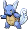 wartortle