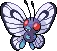 butterfree
