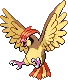 pidgeotto