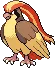 pidgeot pidgeot