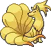 ninetales ninetales