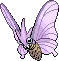 venomoth
