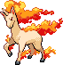 rapidash rapidash