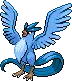 articuno articuno