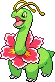 meganium meganium
