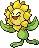 sunflora sunflora