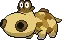 hippopotas
