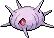 cascoon
