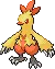 combusken combusken