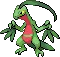 grovyle