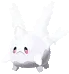 corsolagalar