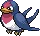 taillow taillow