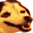 dogsneeze