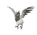 corvisquireshiny