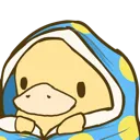 duckcozy