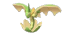 flappleshiny