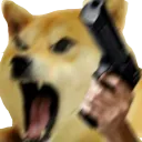 doge_hampa