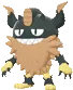perrserkershiny