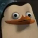 ConfusedPenguin