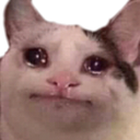 :DS_sadtt: Discord Emote