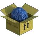 brainbox