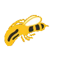 shbee