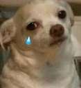emoji_1