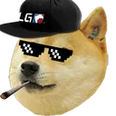 DogeMLG