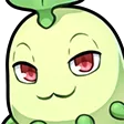 smugchikorita