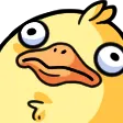 no1BIRD
