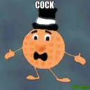 cock