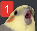 birdping