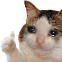 :DS_CatSure: Discord Emote