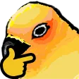 thonkbirb