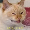 bigyike