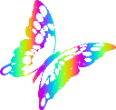 rainbowbutterfly