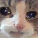 cry