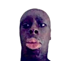 bonzi bonzi