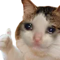 SadCatThumb
