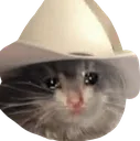SadHowdyCatdner
