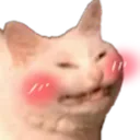 catTHANKSS