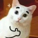 CatThumbsUp