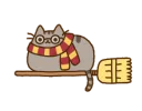 pusheenflying
