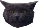 :reow2: Discord Emote